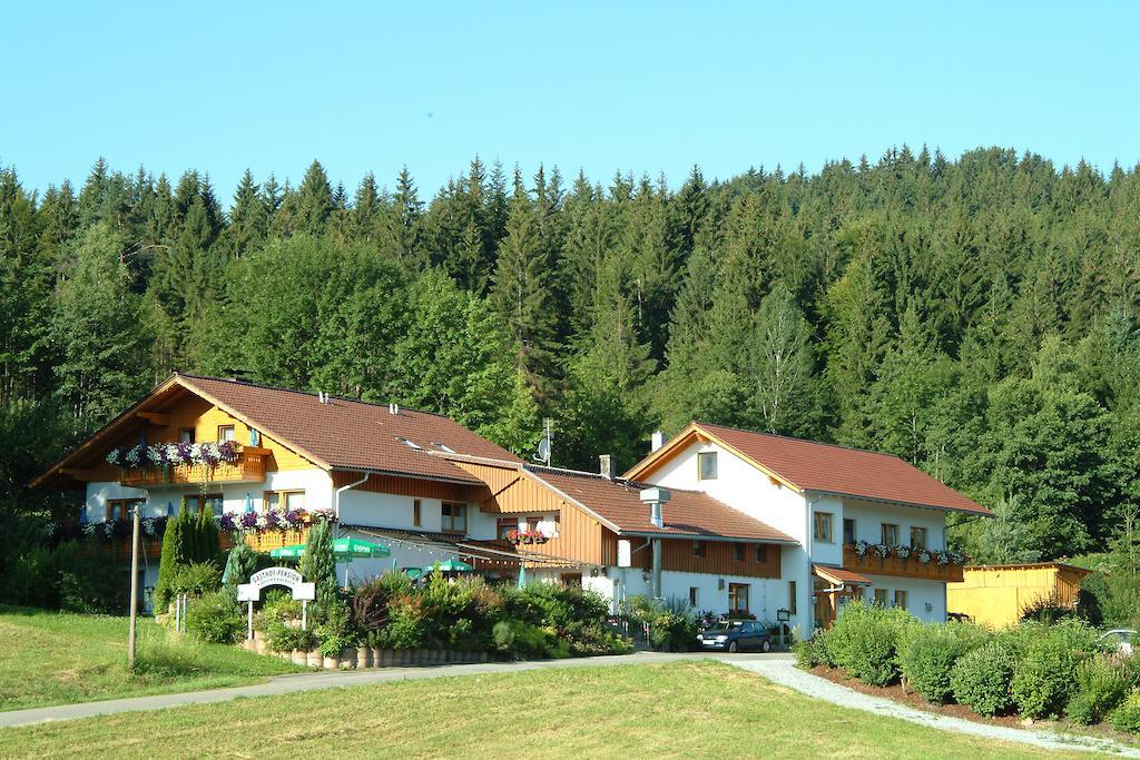 Gasthaus Pension Sternknoeckel Bodenmais Ngoại thất bức ảnh