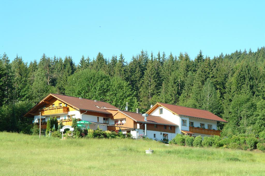 Gasthaus Pension Sternknoeckel Bodenmais Ngoại thất bức ảnh